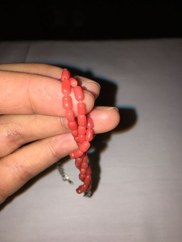 今天在厦门两岸生活馆买的红珊瑚,不知道是真的还是假