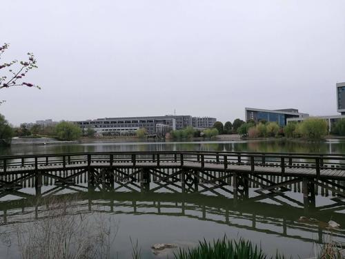 中国药科大学春景(江宁县 2019年4月2日)