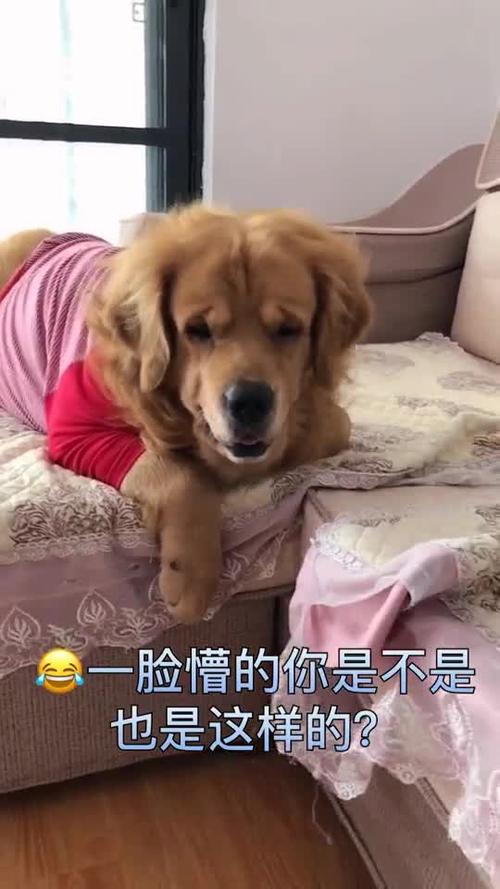 刚睡醒一脸懵的你是不是也这样