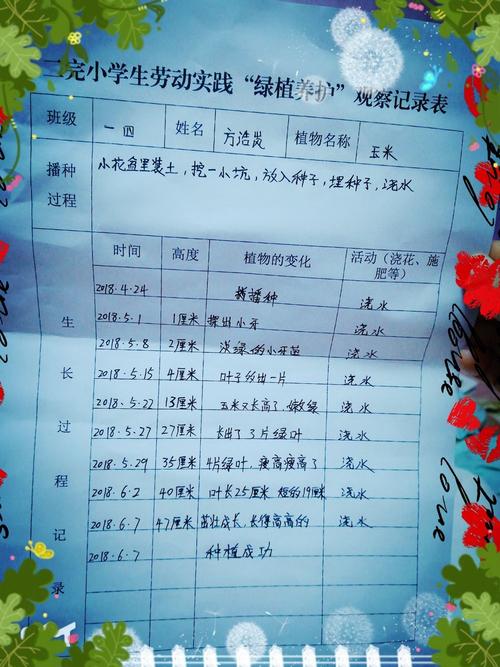 植物生长一一玉米 成长记《方浩岚》