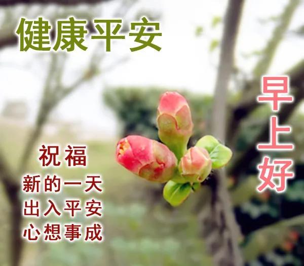 最新早安问候 最暖心的早安问候图片带字_祝福