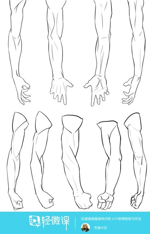 写生手臂—人体体块手臂肌肉的练习