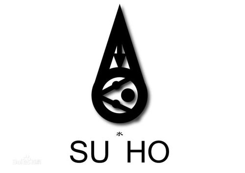 2017年1月1日 19:49   关注  exo 金俊绵 suho exologo 设计 评论