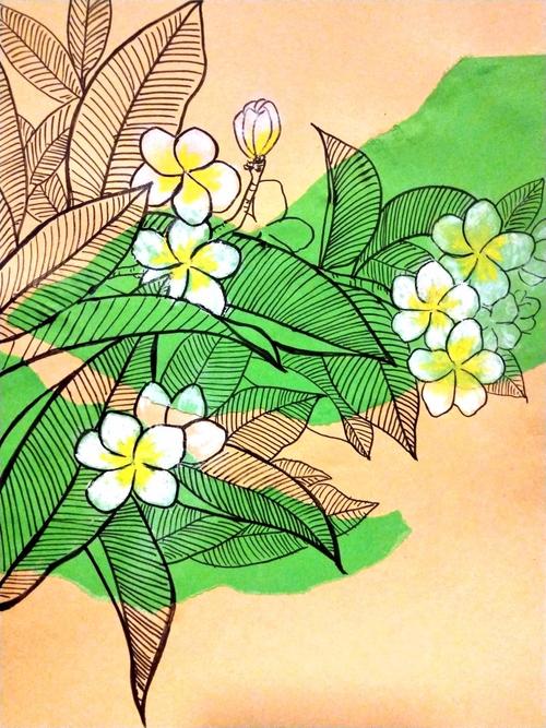 鸡蛋花 