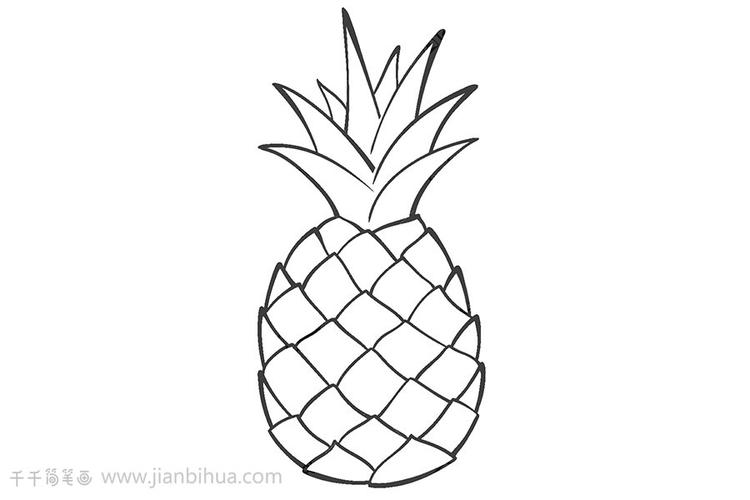 菠萝简笔画怎么画