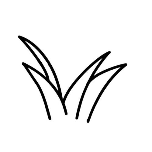 植物简笔画大全 小草简笔画图片大全6