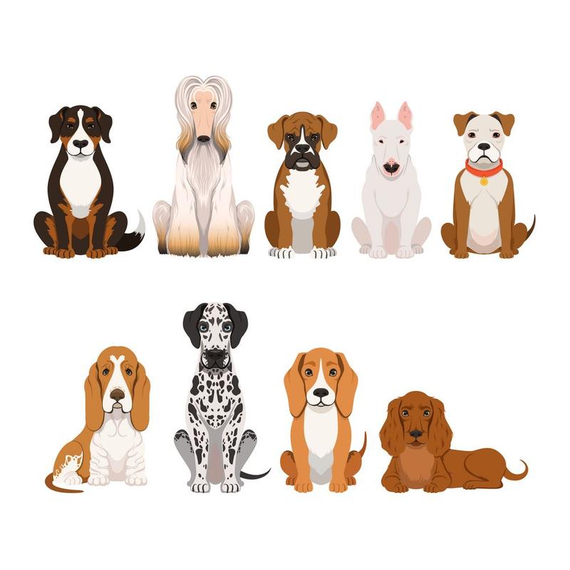 坐着的一群狗图片