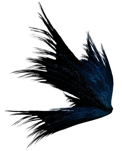 湘思缘服饰采集到翅膀素材