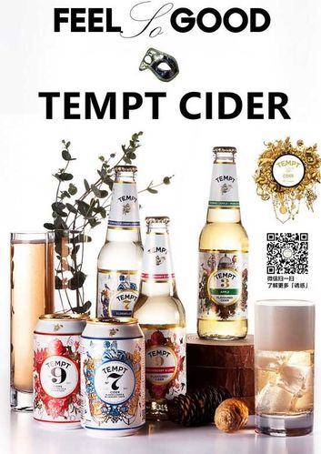 丹麦 西打诱惑tempt啤酒9号果味啤酒330ml/瓶 【原装