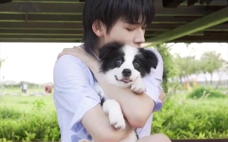 活动作品宋亚轩宋鼠标人不如狗20