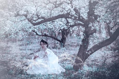 其它 梨花树下 写美篇刘方平 (唐) 纱窗日落渐黄昏,金屋无人见泪痕.