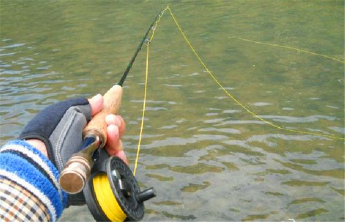 在溪流中用飞蝇钓,具体的施钓方法