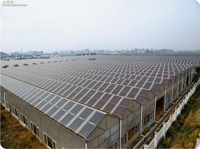 光伏蔬菜大棚既能发电又能种菜,一棚两用.