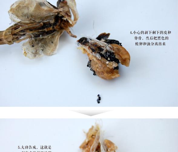 供应 长白山雪蛤 正宗长白山林蛙干 500g 滋补保健 东北特产批发