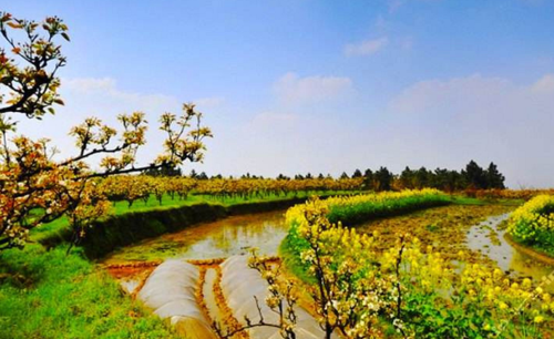 永川黄瓜山悬崖木屋