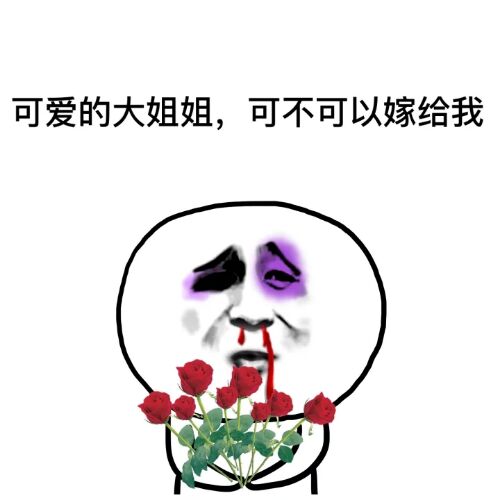 捧几朵玫瑰花被打:可爱的大姐姐,可不可以嫁给我_金馆长妈蛋表情网md.