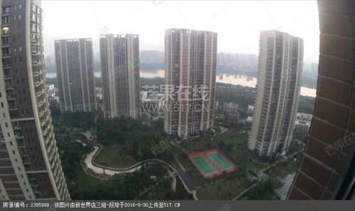 御景新世界花园 一,   房源优势 1,地理优势:房子位于三好桥附近