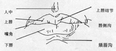 一个人的嘴在美学上好不好看,正面和侧面以及嘴唇的每一个结构都要看