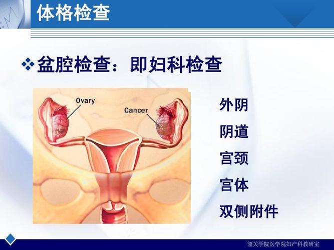 体格检查  盆腔检查:即妇科检查 外阴 阴道 宫颈 宫体 双侧附件 韶关