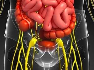 慢性阑尾炎相关文章