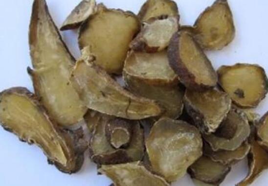 它的毒性比生附子要略差一些,但它保留了附子中的大部分药用成分具有