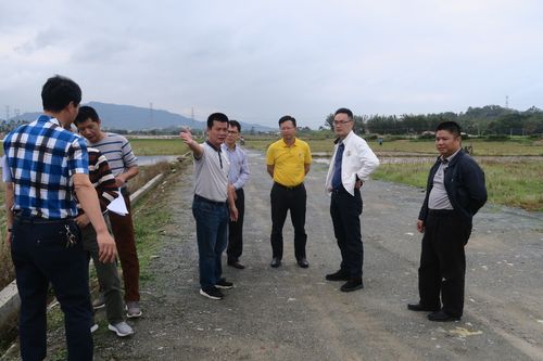 市委陈伟成常委调研督导我市农村公路建设及危桥改造