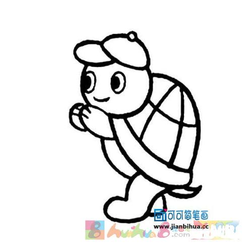 乌龟卡通图片简笔画