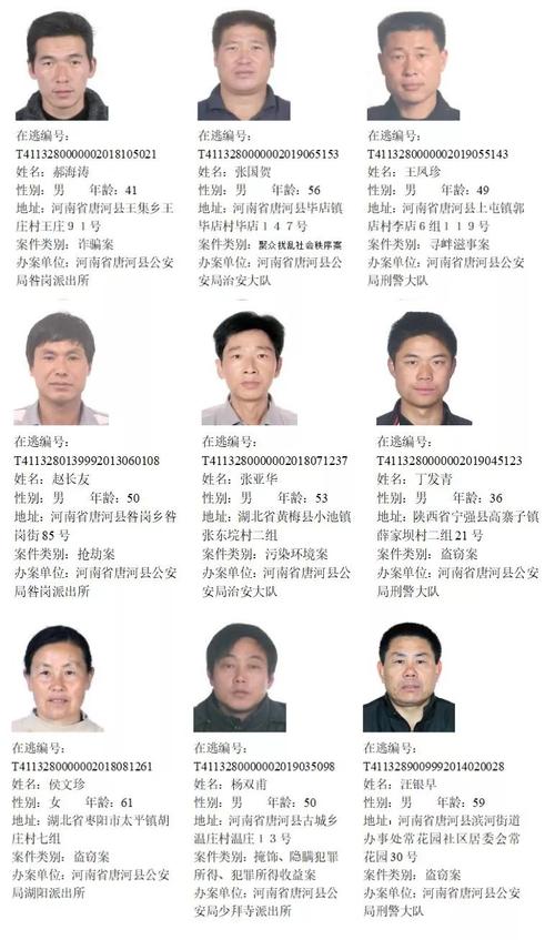 通缉令 | 南阳公安公开通缉233位在逃人员!_逃犯