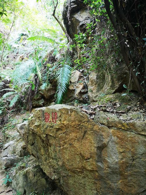 沙湾‖滴水岩森林公园 沙湾古镇