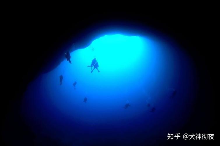 有哪些深海恐惧症看了会害怕的图片