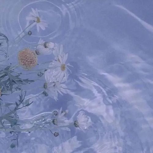 背景图/ins风治愈系蓝色背景图