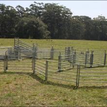 牛栅栏 羊栅栏 牧场栅栏 护栏网 防护网