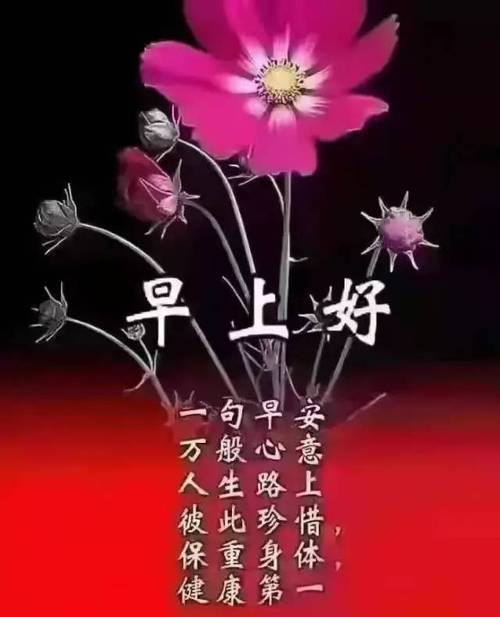 早上好茫茫人海相识相知四季交替相依相守