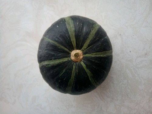 小窝瓜小米粥