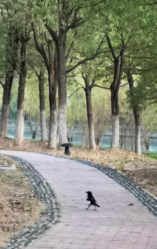 合肥匡河公园