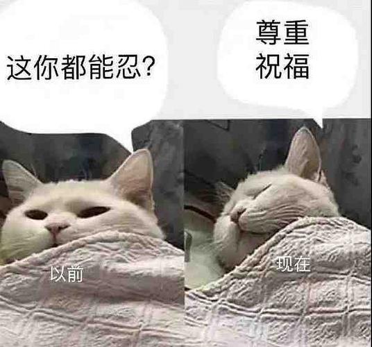 尊重祝福表情包有吗