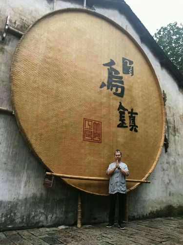乌镇 我匆匆走过