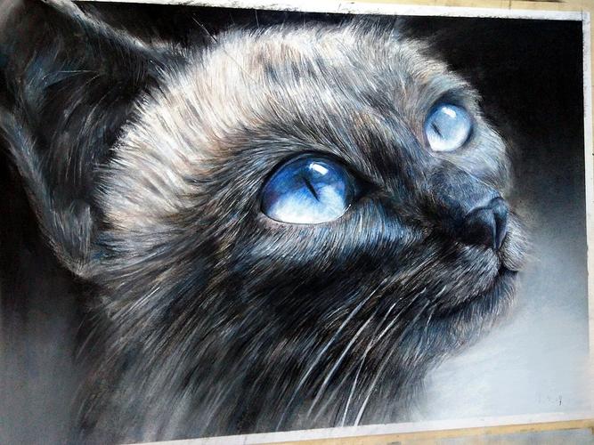猫-精微素描|纯艺术|彩铅|澄兹 - 原创作品 - 站酷