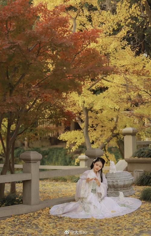 汉服# 『暮秋』入镜:@溪木若颖妆梳:@子曰慕橦摄/后:@大书su #杭州约