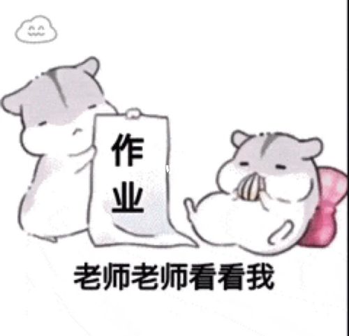 交作业表情包_表情包_素材_表情包