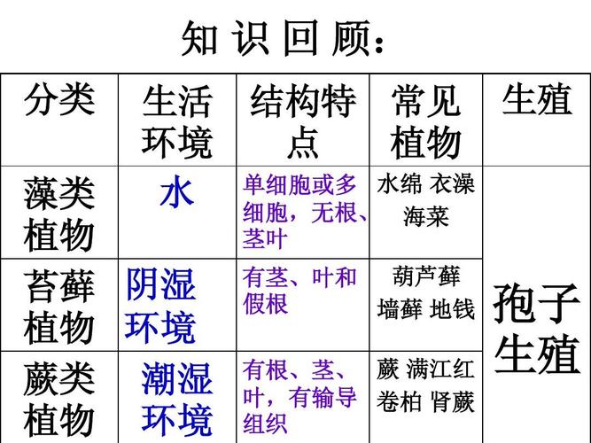 知 识 回 顾: 分类 生活 结构特 常见 生殖 环境 点 植物 单细胞或多