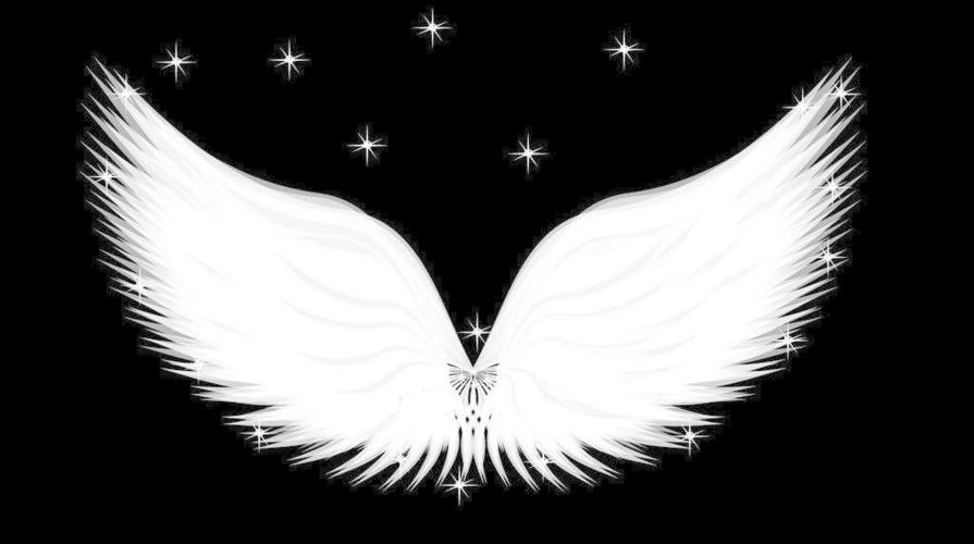 圣洁的天使翅膀图片_其他psd素材_psd源文件_图片编号1617787_六图网