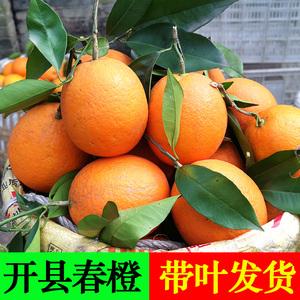 重庆开县春橙橙子新鲜10斤大个现摘孕妇水果广柑伦晚脐橙奉节