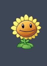 植物大战僵尸online