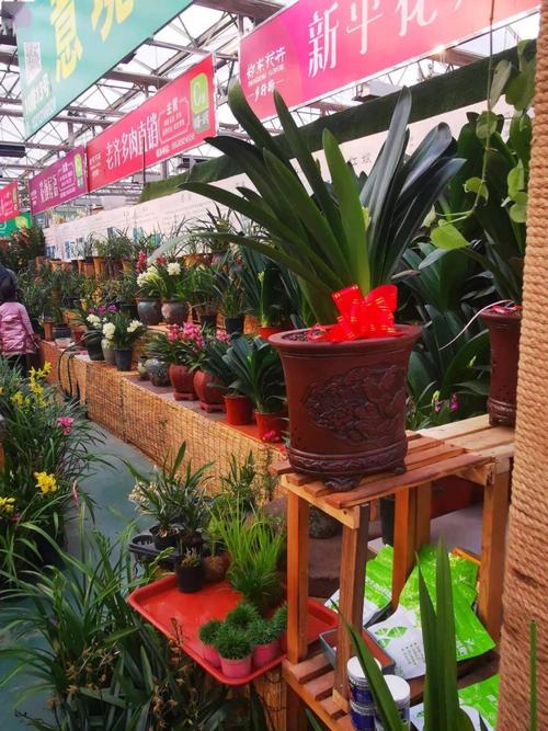 b 馆图书家居区  happy  ne wyear  就到郑东花卉 最后, 郑东花卉市场