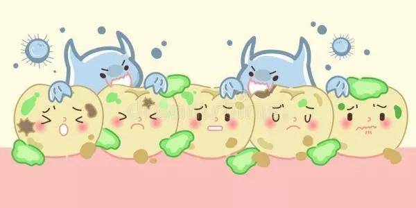 牙齿上的"黑线",是蛀牙吗?