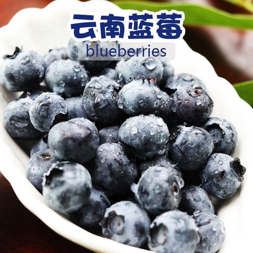 云南南大蓝莓王蓝梅新鲜国产水果兰梅篮莓蓝莓蓝手机保护套