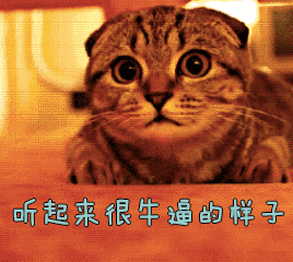 牛逼gif听起来很牛逼的样子gif