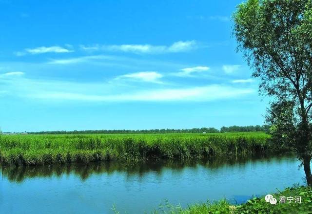 宁河区七里海美丽的传说