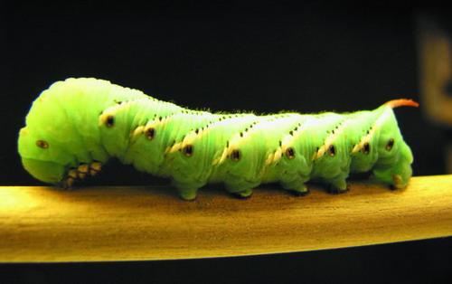 抑或在颠簸的山路上行驶,那么一定深知五脏六腑在肚子中翻腾的滋味